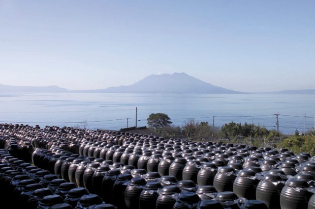 鹿児島 桜島と壷畑