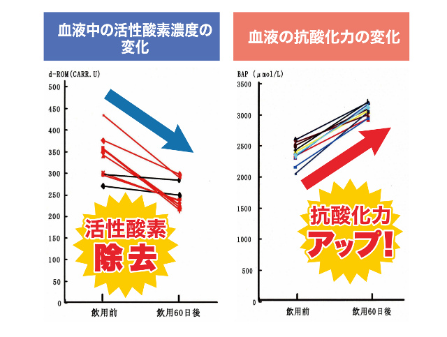 活性酸素と抗酸化力
