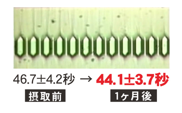 血液流動の改善